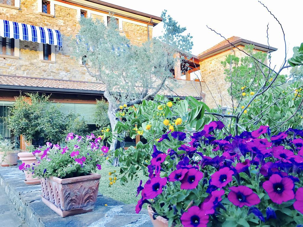 Casa Vacanze Il Cenito Castellabate Kültér fotó